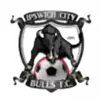 伊普斯维奇城